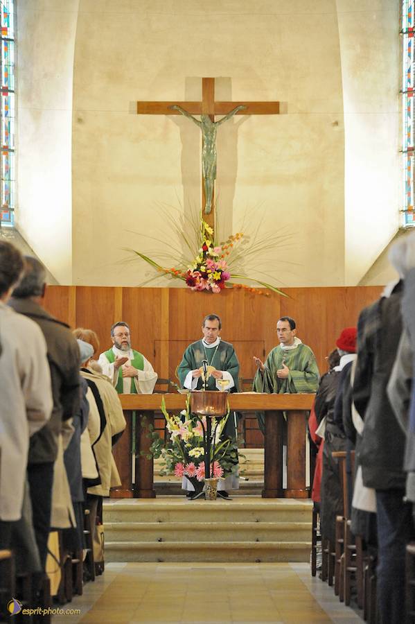 Nom de l'image : D30030982_1_(c)Norbert-JUNG — Description :